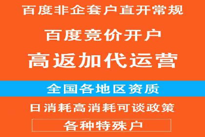 案例解读：网络推广竞价技巧