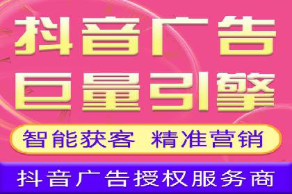 行业领先企业的SEM代理案例剖析
